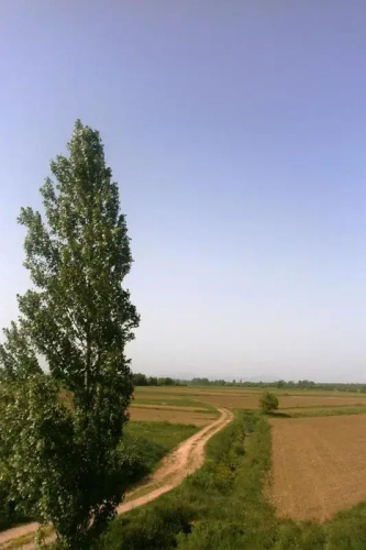 Kuc kuc apartmani