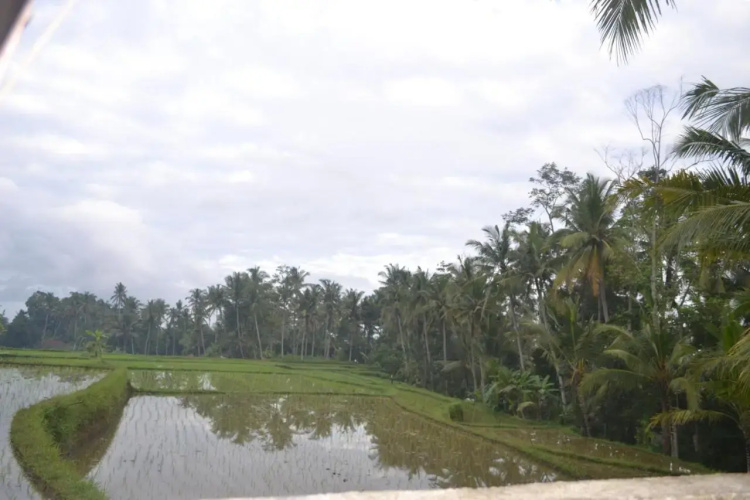 Srijaya Ubud