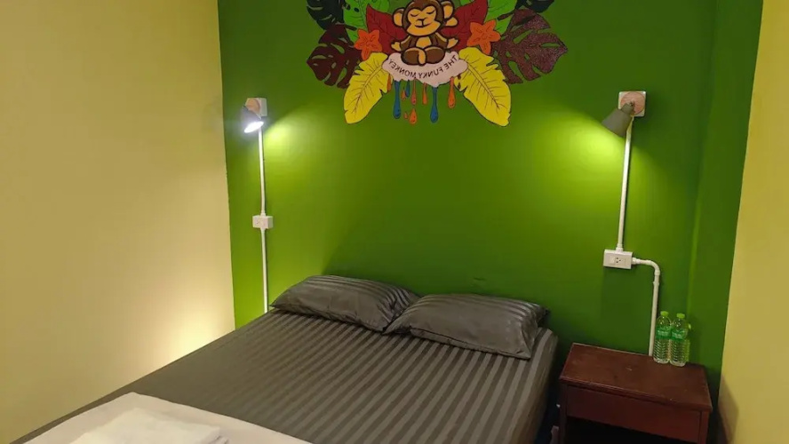 THE FUNKY MONKEY HOSTEL - 18 to 40 only