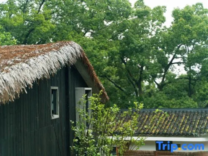 Putuo Mountain lives in Putuo Mountain