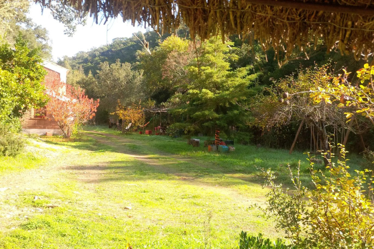 Casas da Cerca