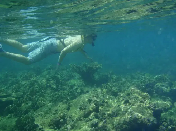 Scuba Portobelo