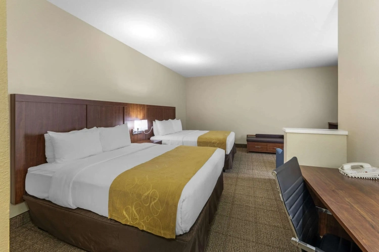 Quadruple Suite