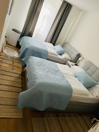 Stylish two-floor apartment in a heart of Basel