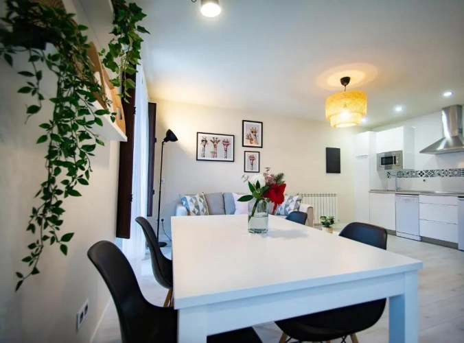1 Bedroom Apartment