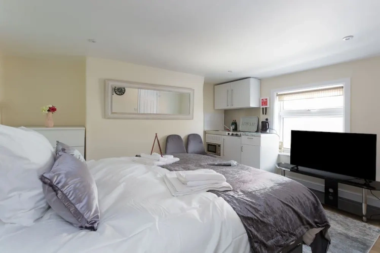 Deluxe Apartment with courtyard view