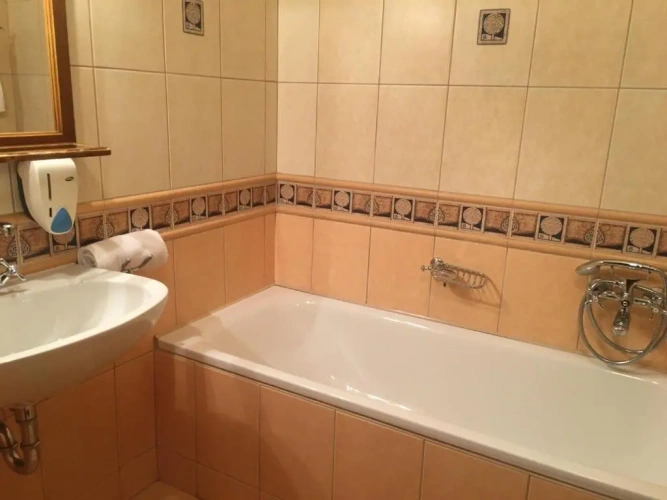 1 Bedroom Apartment with balcony and with view