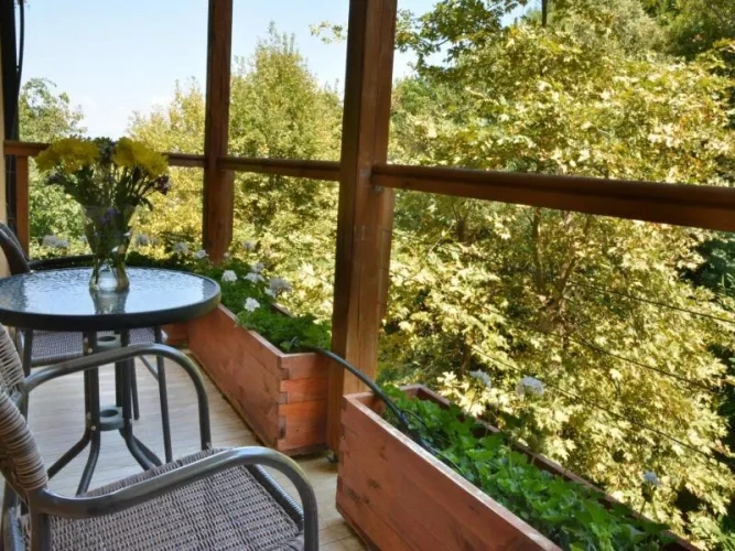 1 Bedroom Apartment with balcony and with garden view