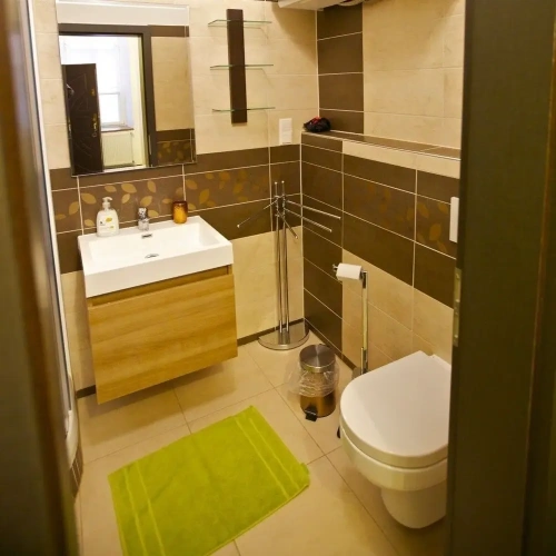 1 Bedroom Standard Apartment