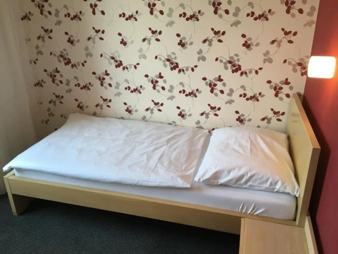 Standard Double room with balcony and with view