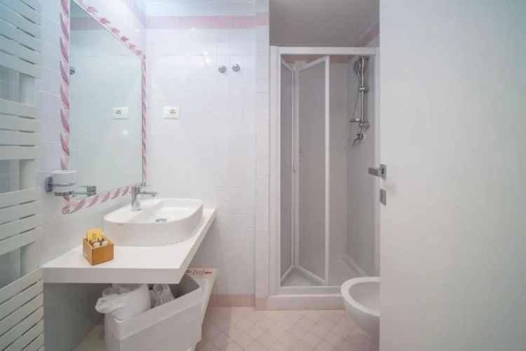 Standard Double room with balcony and with sea view