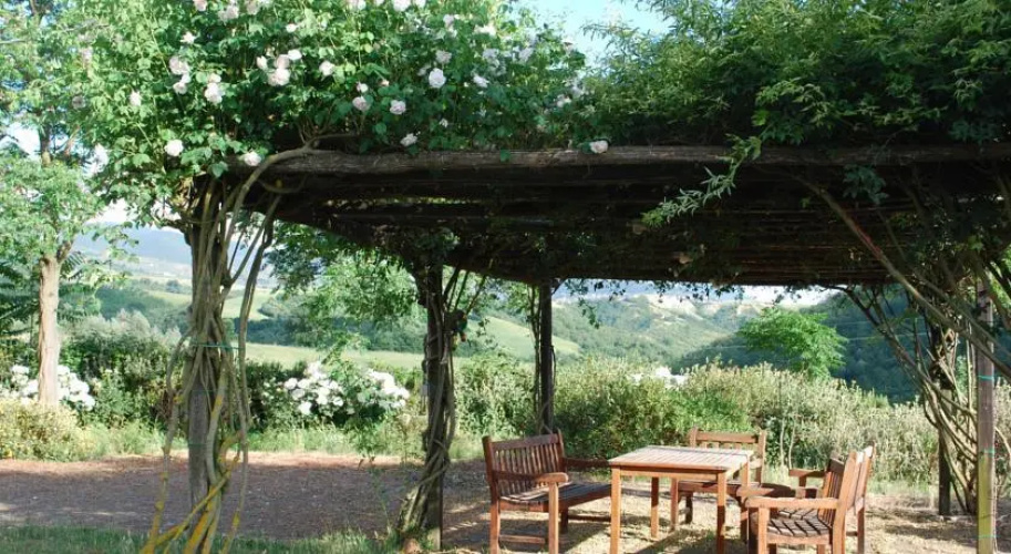 Agriturismo Barberani
