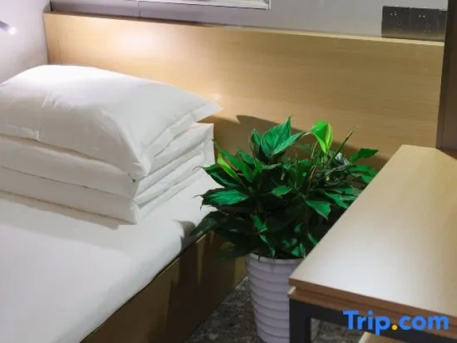 Bed in Dorm (male dorm)