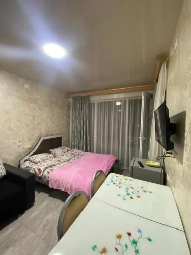 Apartment studio maksim