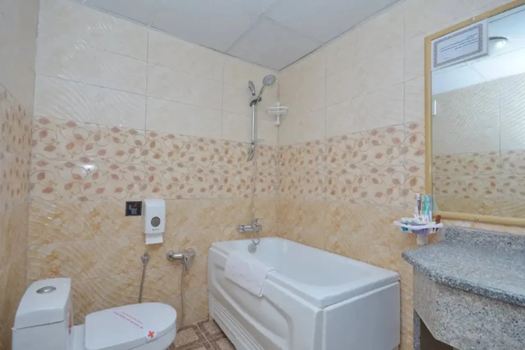 Hotel Park Saadi