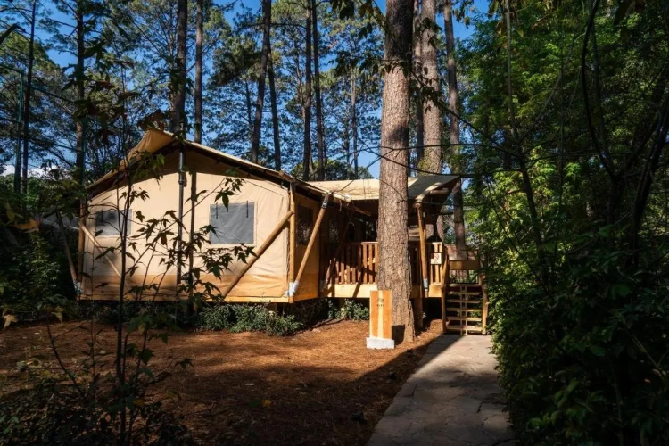 Tent