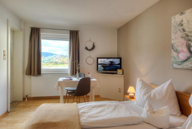 Standard Double room with balcony and with view