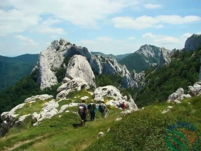 Your Perfect Adriatic Getaway