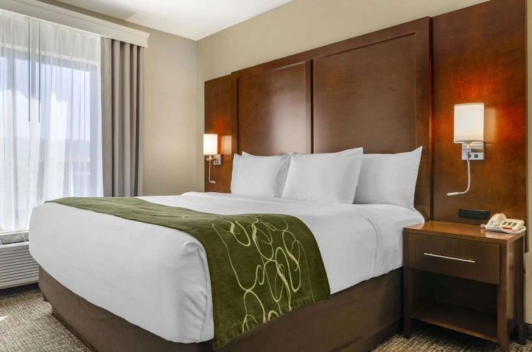 Double Suite
