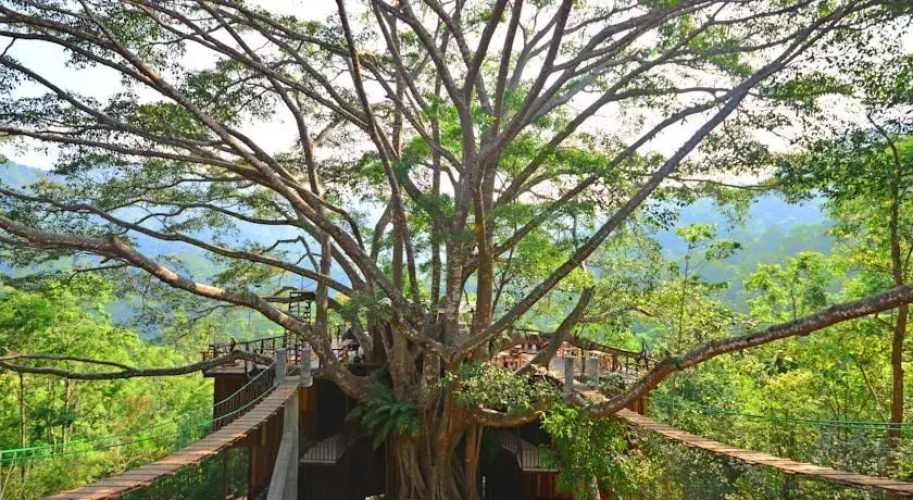 The Giant Chiang Mai Hotel