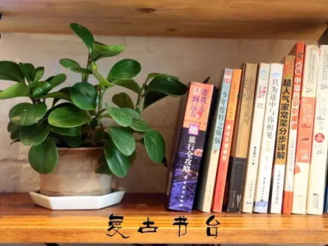 Shenzhen Dapeng Liuli Boutique Hostel