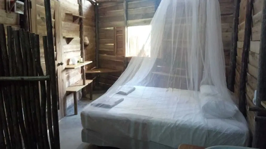 Standard Double room with garden view