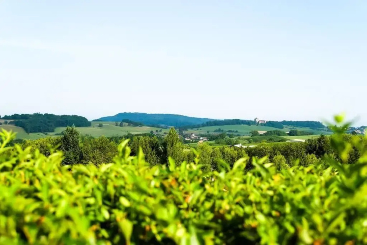 Logis Hostellerie Des Monts Jura