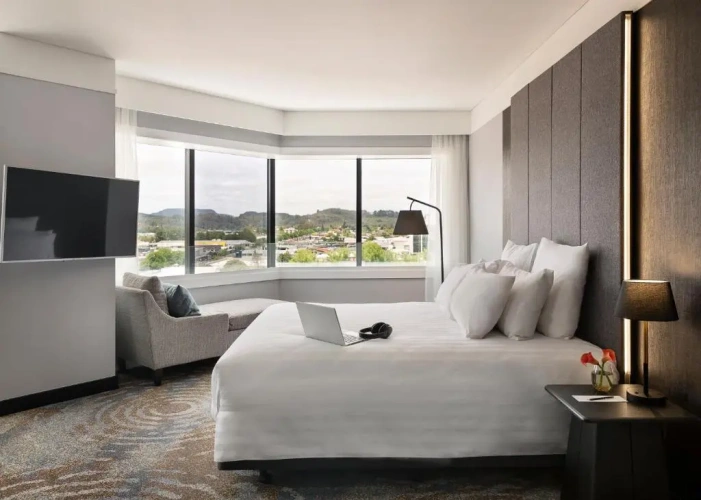 Deluxe Double room with city view