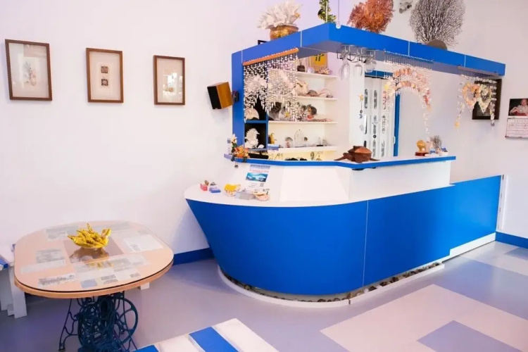 Ocean B&B