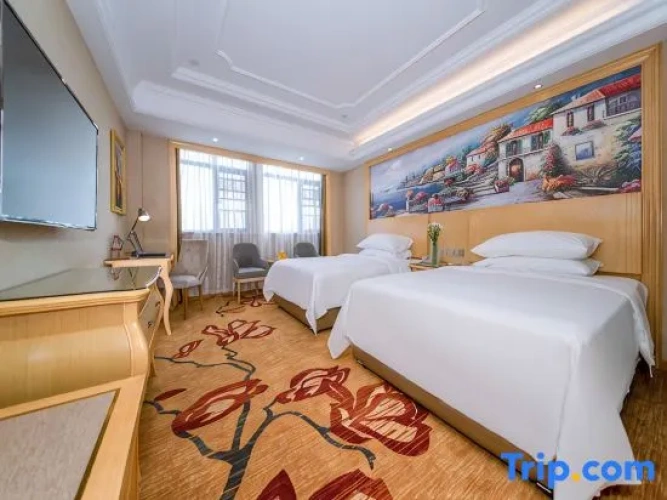Deluxe Double room with city view