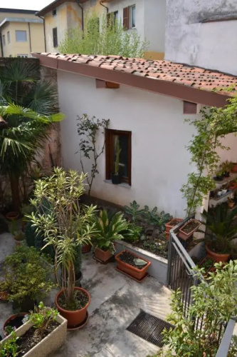 Casa del Cedro - Cedar House