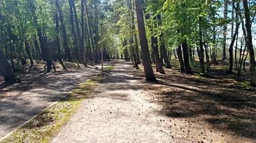 Pensjonat Elzbieta