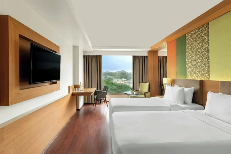 Premium Twin room with city view