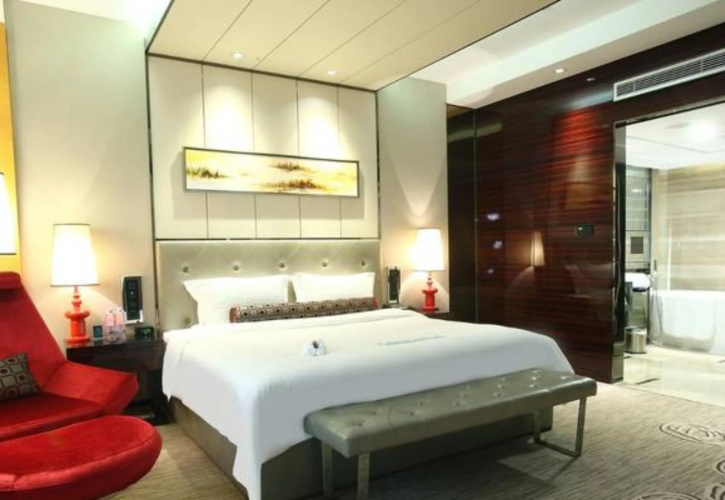 Vaya International Hotel