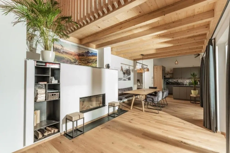 Standard Penthouse room