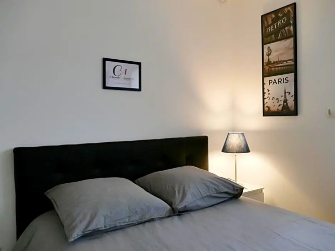 Standard Apartment