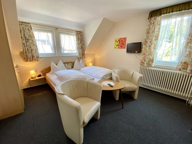 Standard Double room with land view