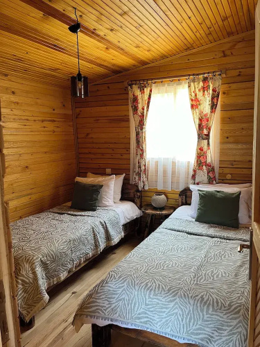 Afera Koy Evi