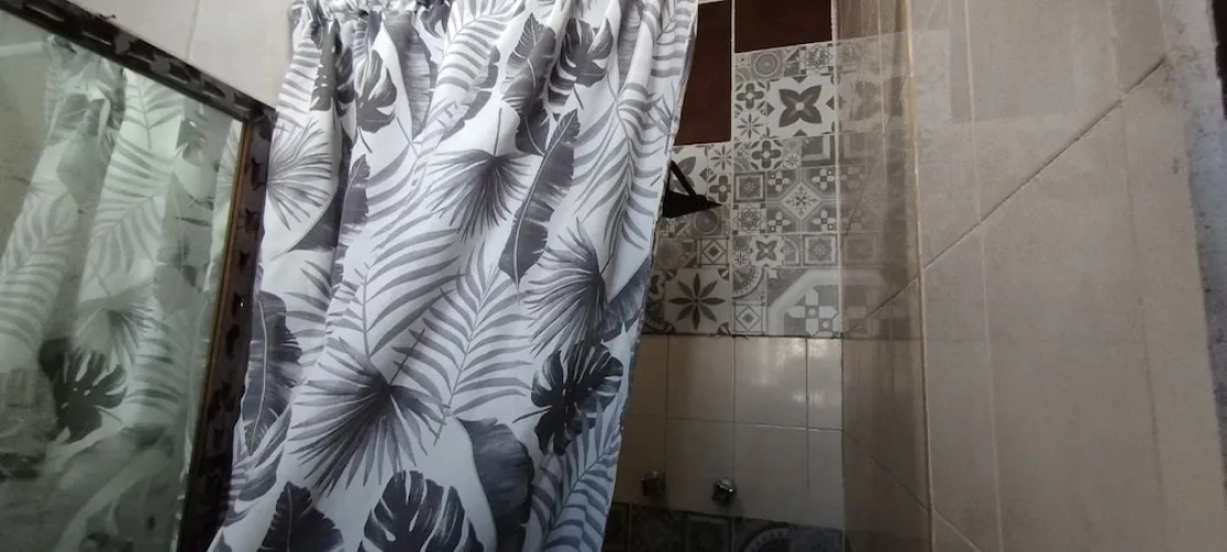 Suites Bugambilias Rooms Primavera Bosque