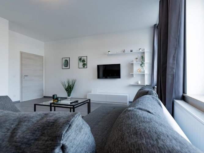 Deluxe Apartment