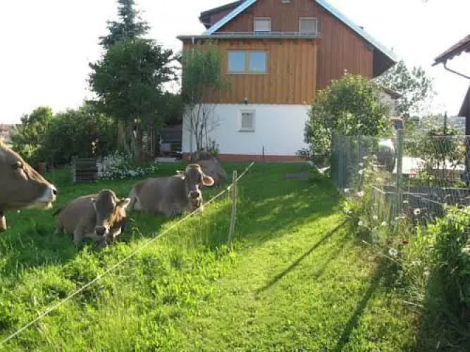 Ferienwohnung Hörger