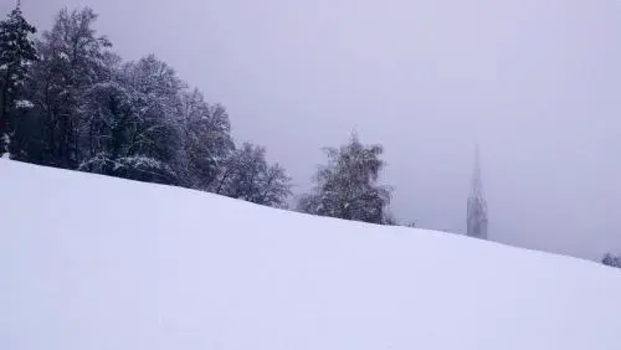 Vintlerhof