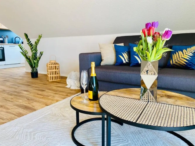 1 Bedroom Apartment