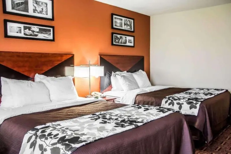 Standard Twin room