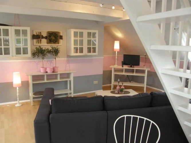 Single Basement Apartment