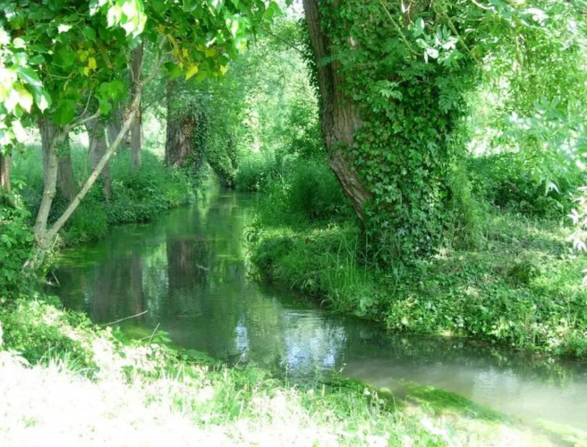 Le Moulin Fleuri Du Petit Appeville