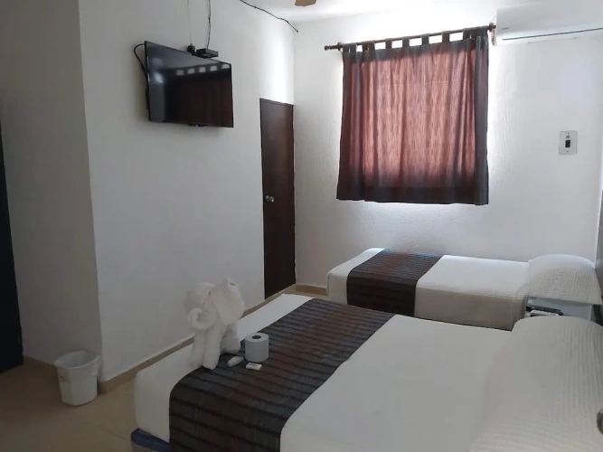 Executive Triple Suite