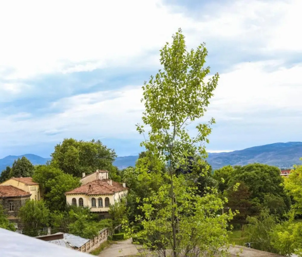 Edea's Apartment Korce Albania