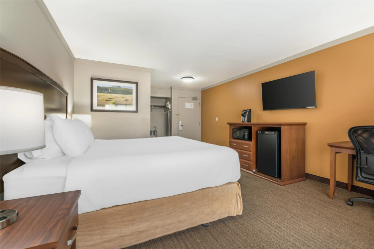 Best Western The Westerly Hotel photo 6
