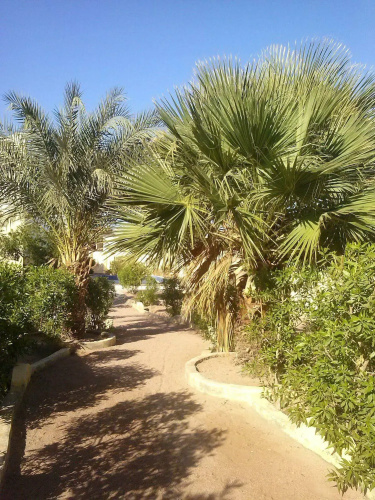 Dahab Dreams Hotel